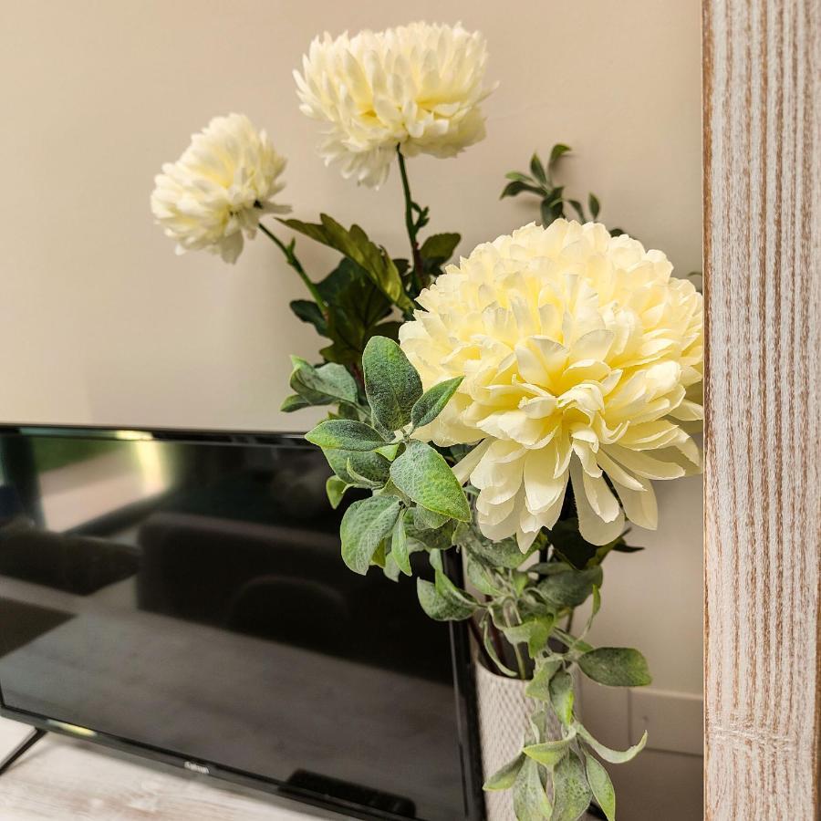 Delphinium Ξενοδοχείο Selargius Εξωτερικό φωτογραφία